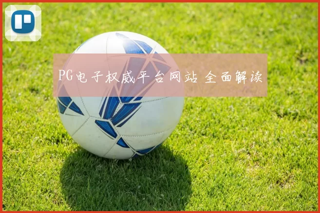 PG电子权威平台网站 全面解读