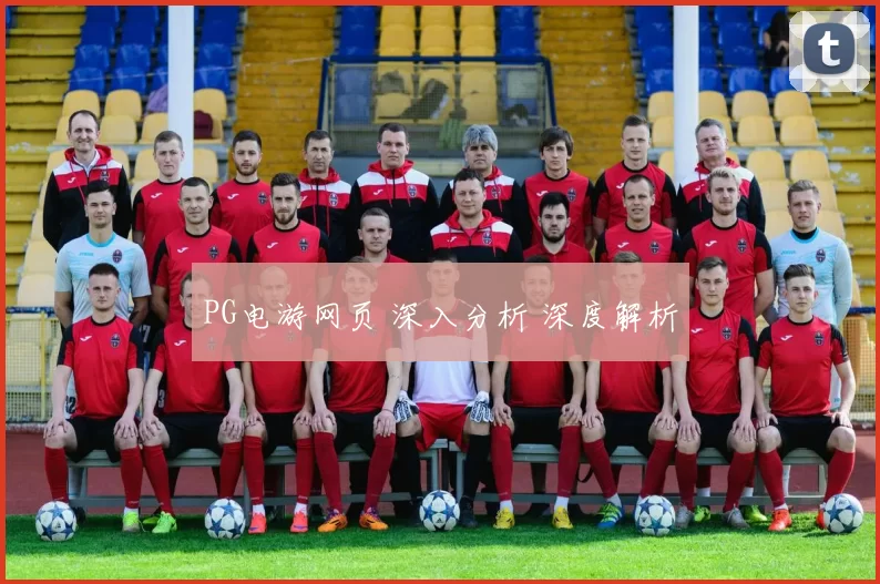 PG电游网页 深入分析 深度解析