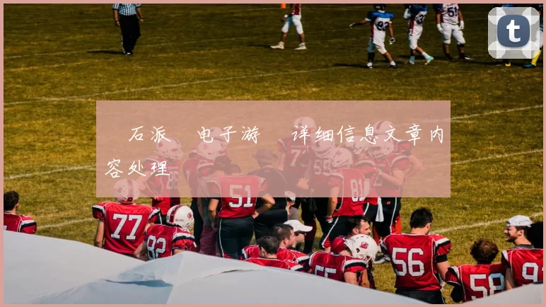 寶石派對电子游戲 详细信息文章内容处理