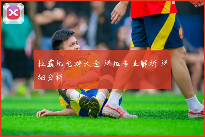 拉霸机电游大全 详细专业解析 详细分析