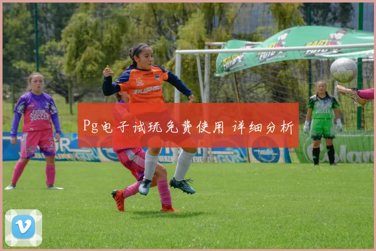 Pg电子试玩免费使用 详细分析